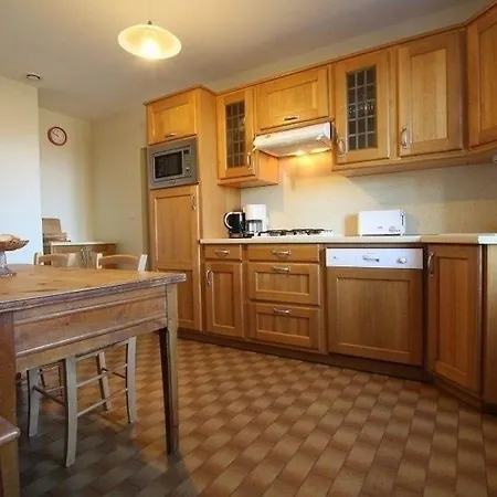 Gite Restaure Avec Grand Terrain Clos, Salle De Jeux, Proche Du Puy En Velay Et Chavaniac-Lafayette - Fr-1-582-297