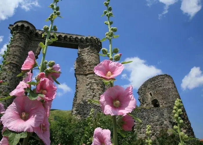 Restaure Avec Grand Terrain Clos, Salle De Jeux, Proche Du Puy En Velay Et Chavaniac-lafayette - Fr-1-582-297 Ferienhaus *